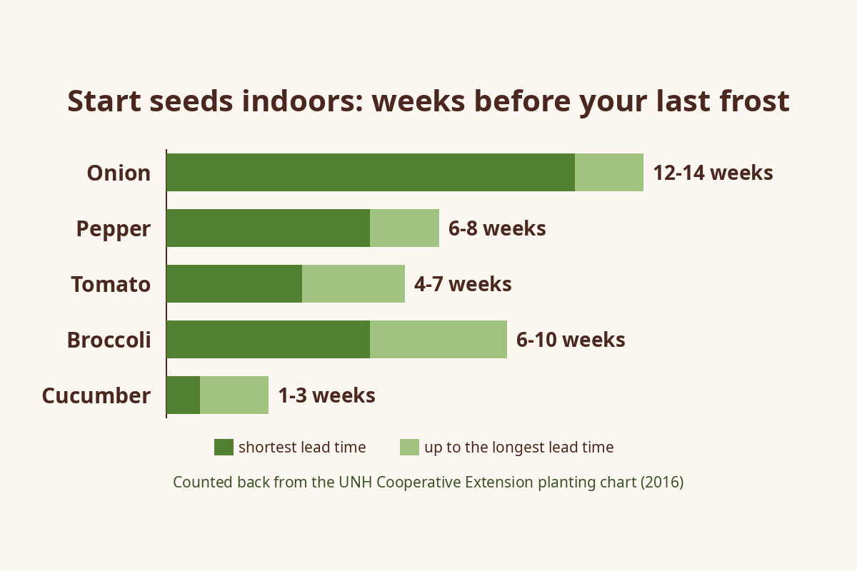 Bar chart of weeks to start seeds indoors before the last frost, counted back from UNH Extension transplant dates: onion 12-14 weeks, pepper 6-8 weeks, tomato 4-7 weeks, broccoli 6-10 weeks, cucumber 1-3 weeks
